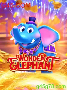 Descubra WonderElephant: Um Mergulho no Mundo Fascinante de G45.COM